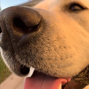 Meet your Posher, Jonathan